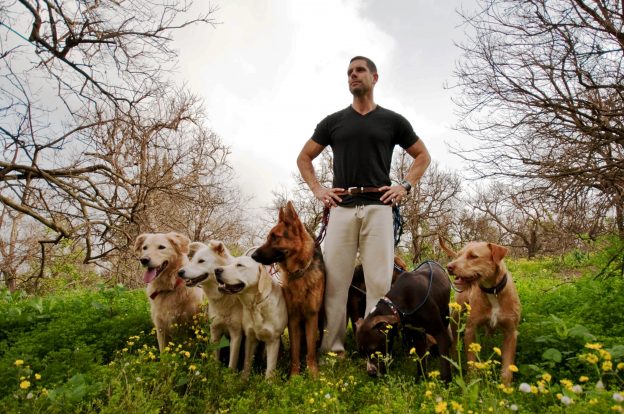 The Best Online Dog Trainer Review