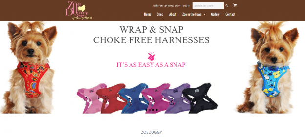 What About Dressing Dogs