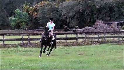 A rider on a horse galloping at Five Phases Farm