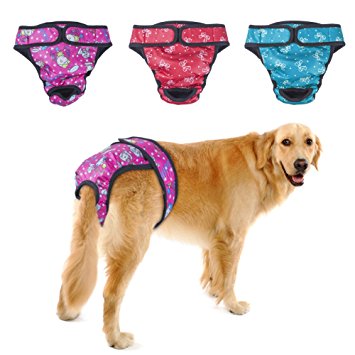 Dog Diapers and Other Essentials For a Traveling With a Dog