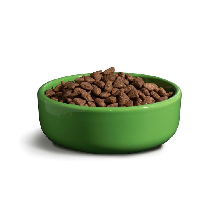 How to Know What Dog Food Is Right for Your Puppy