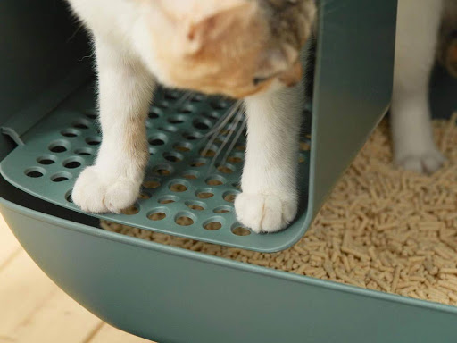 best cat litter scoop