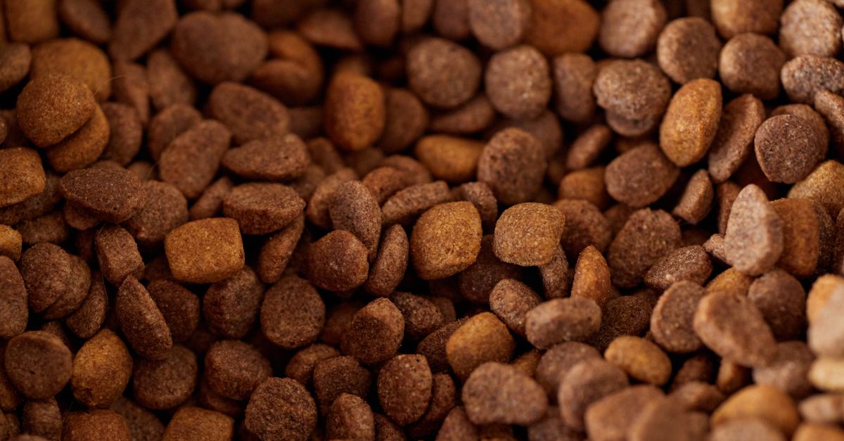 Diabetic Pet Food