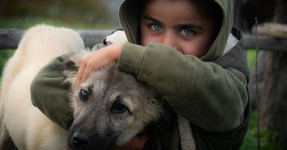 Human-Animal Bond