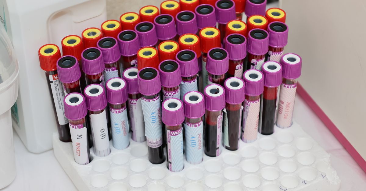 pet allergy testing