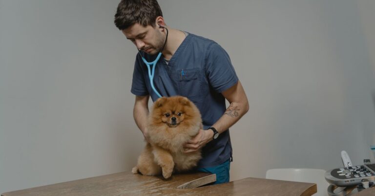 Mastering Pet Cardiac Care at Home