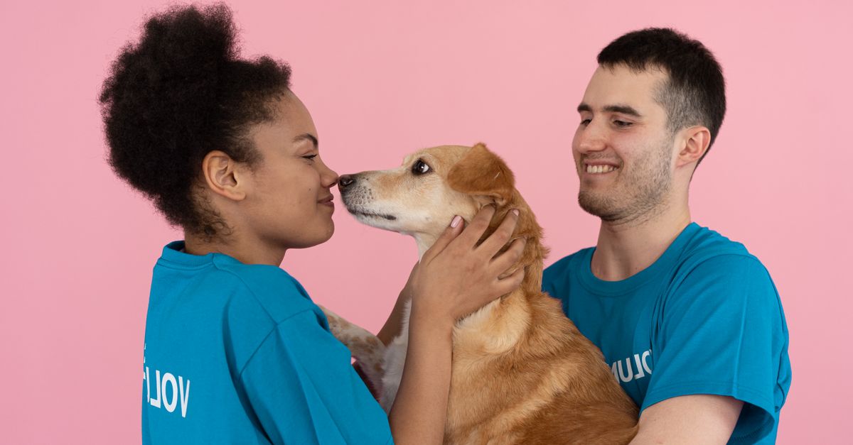 pet care community