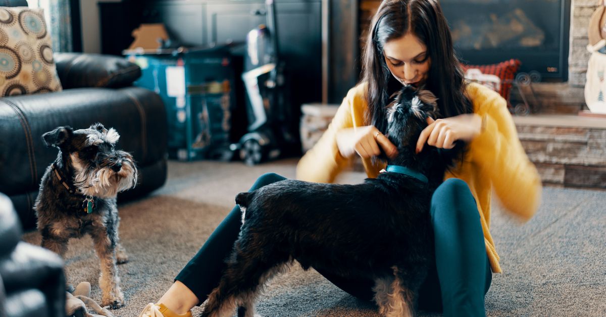 pet dander allergy