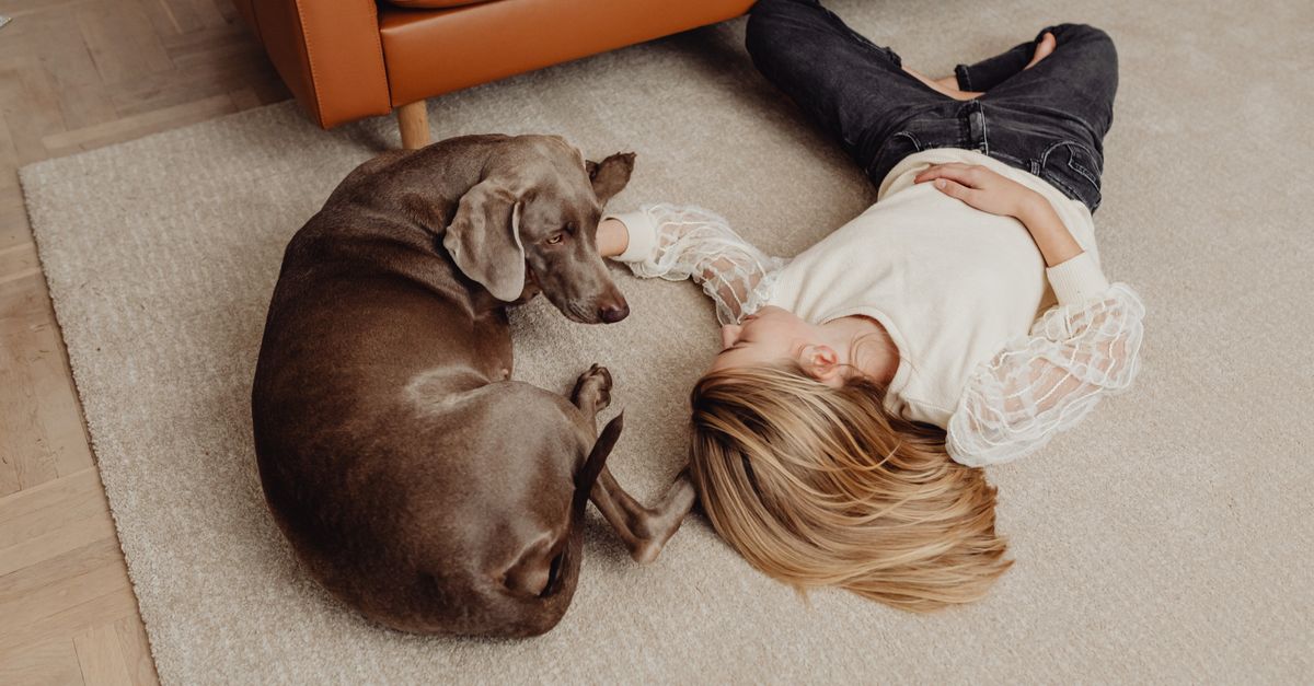 pet dander allergy