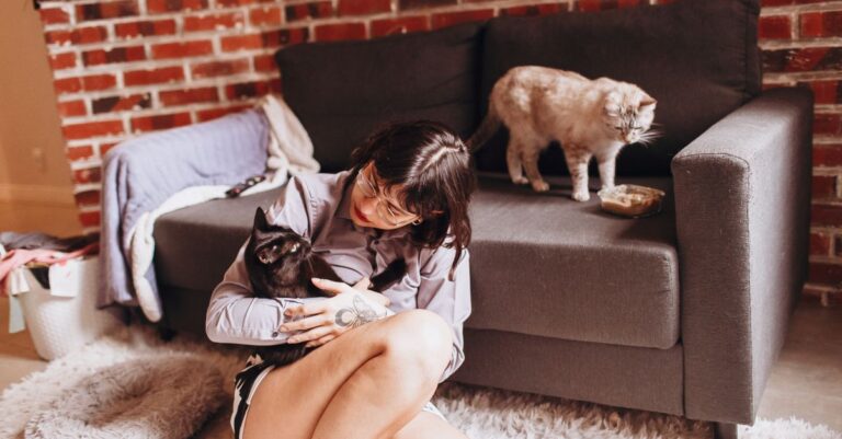 Reduce Pet Dander Allergy Symptoms