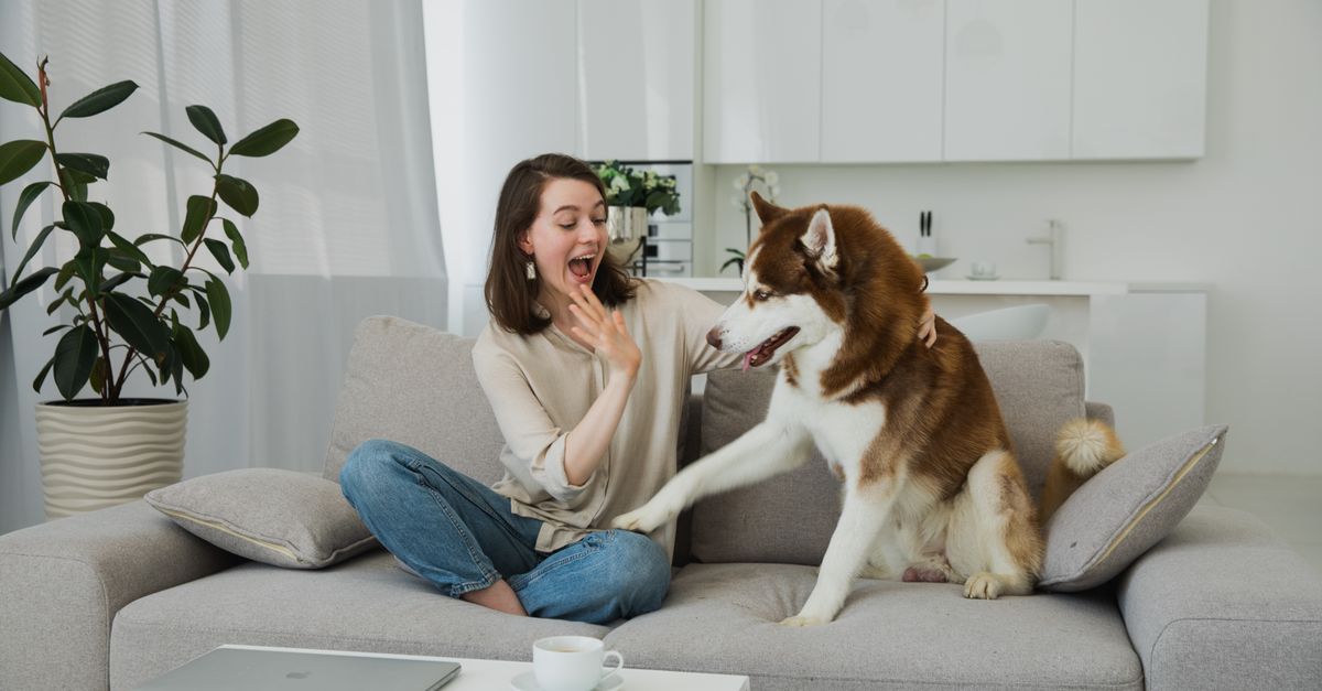 Pet-Friendly Cleaning