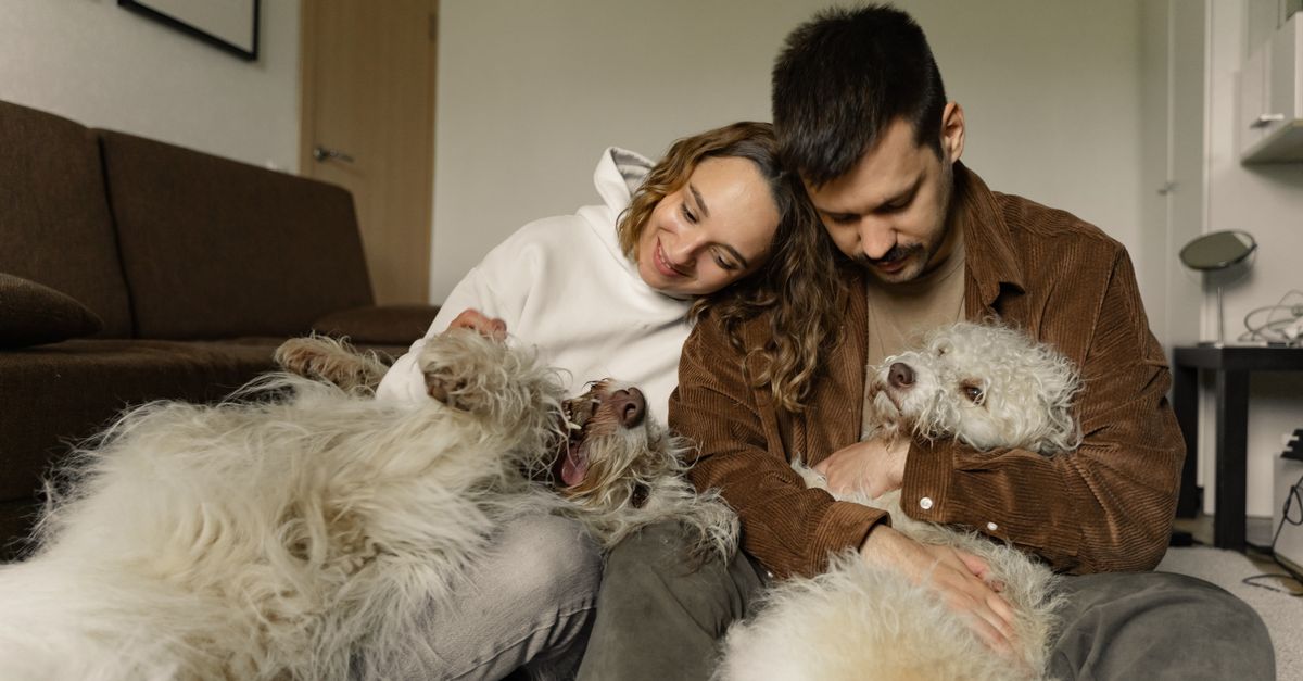 pet-friendly home