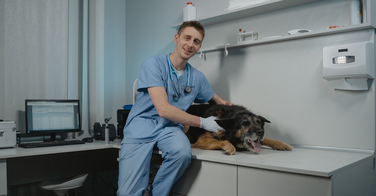 Pet Medication