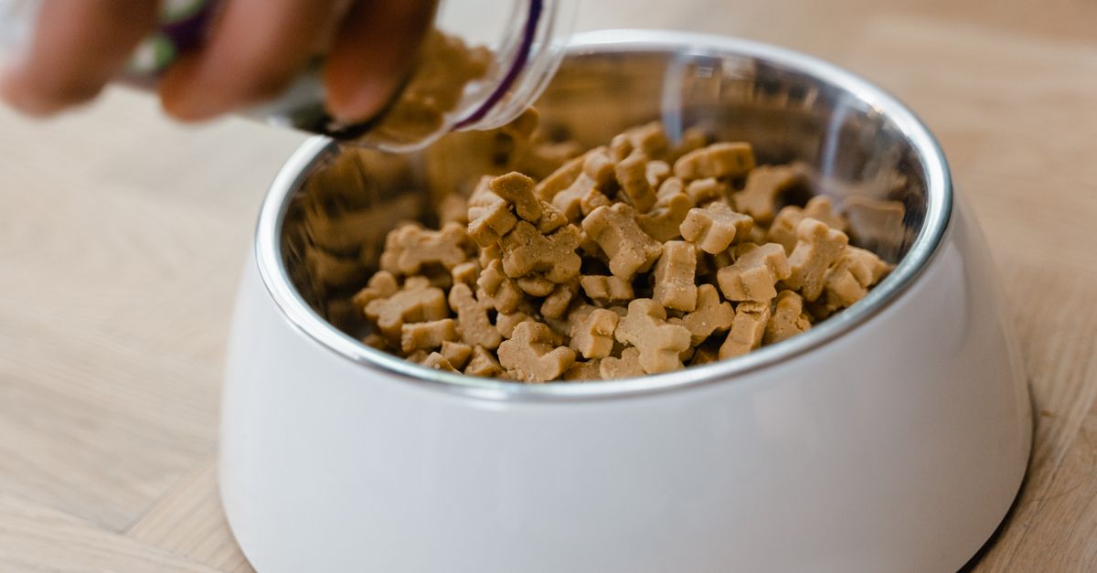 Pet Nutrition Advice