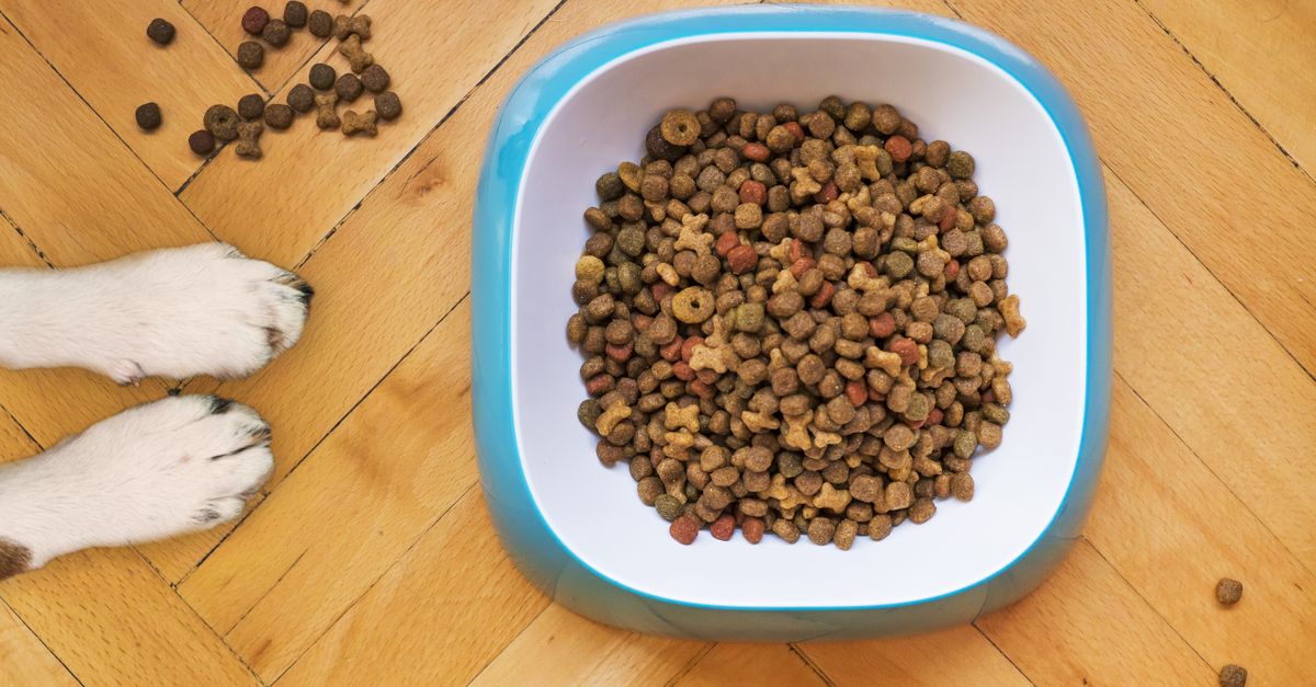 Pet Nutrition Balance