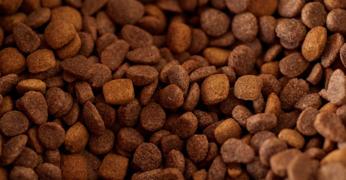 Pet Nutrition Warning