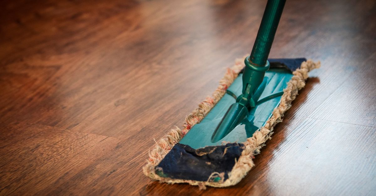 pet odor removal