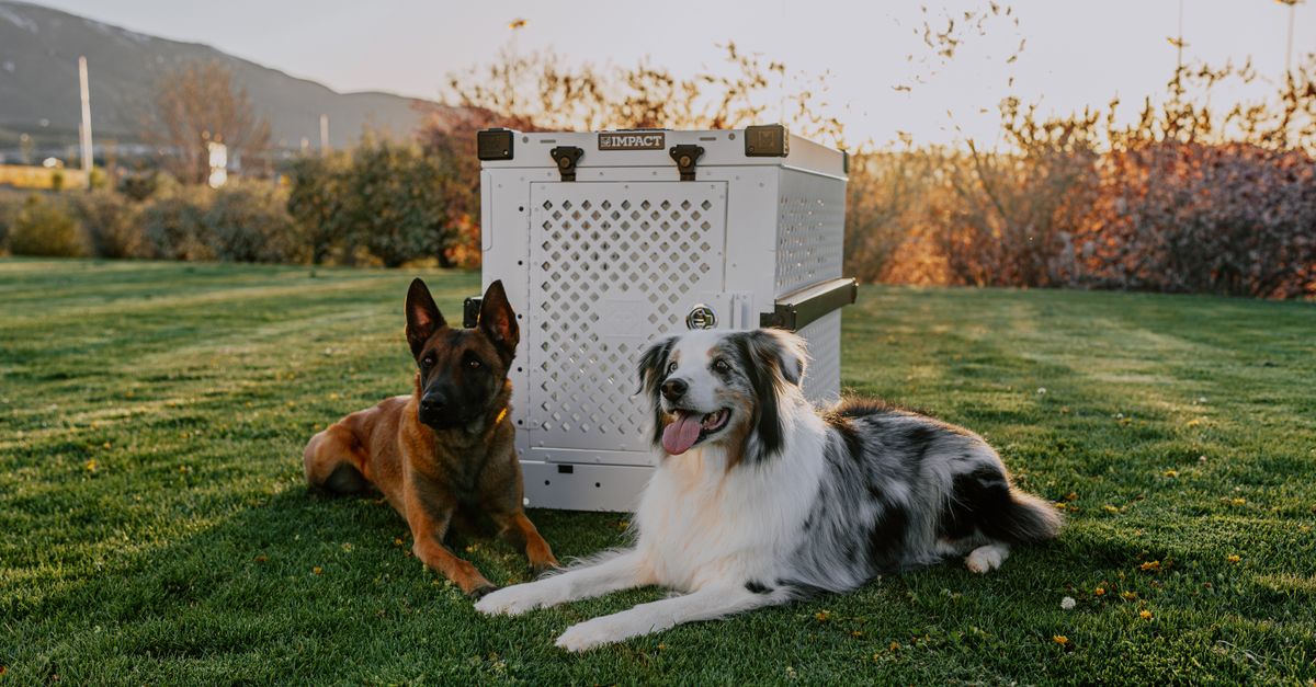 Pet Travel Crates