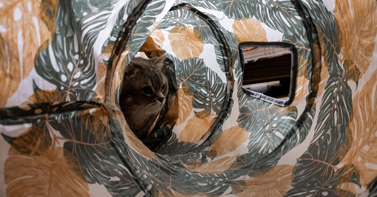 pet tunnel systems