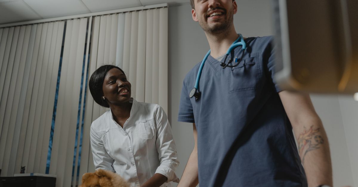 veterinarian
