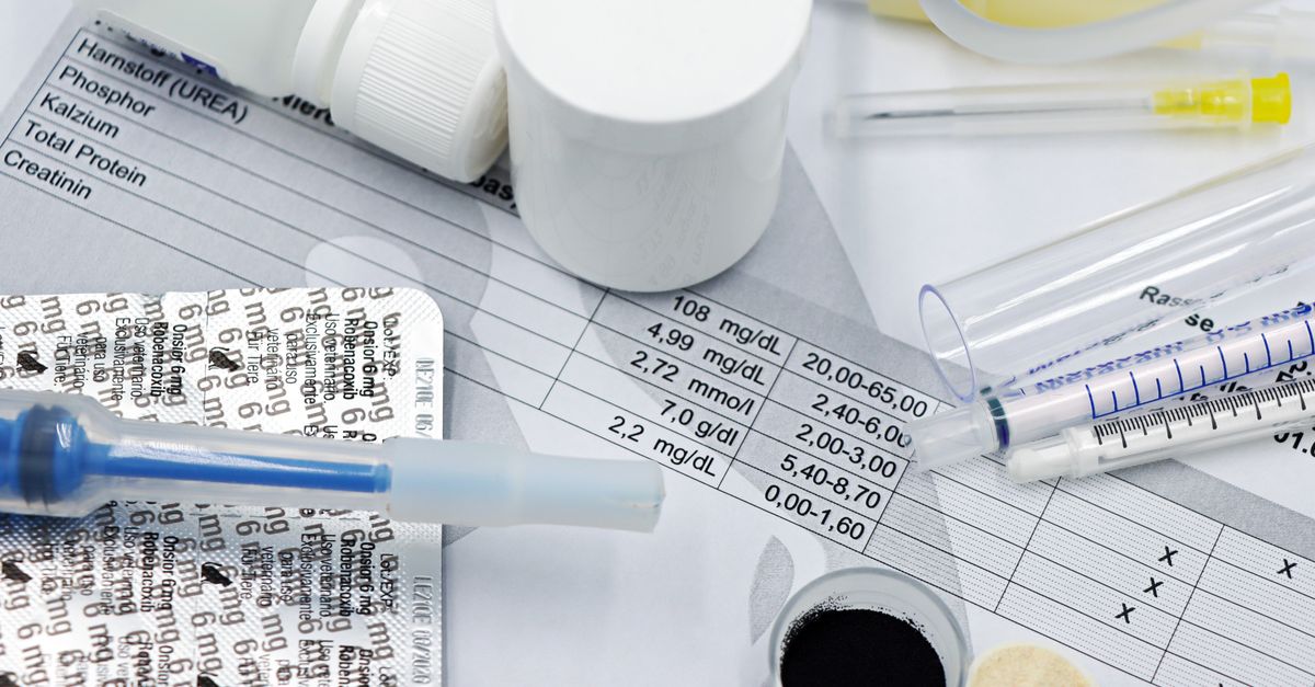 Pet Allergy Testing