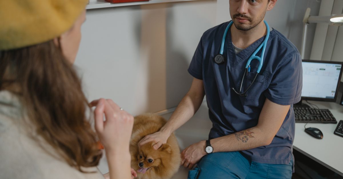 pet consultation room