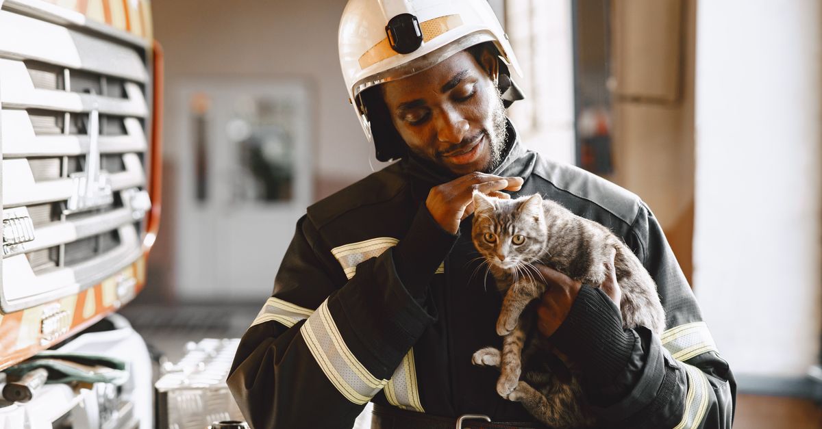 pet emergency response