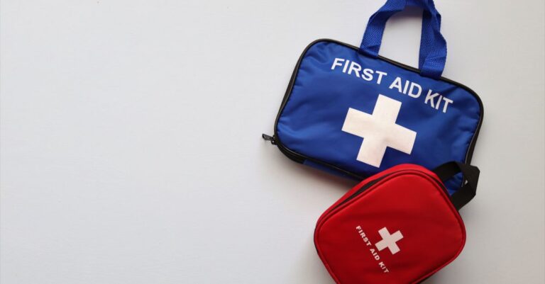 Mastering Pet First Aid Kits