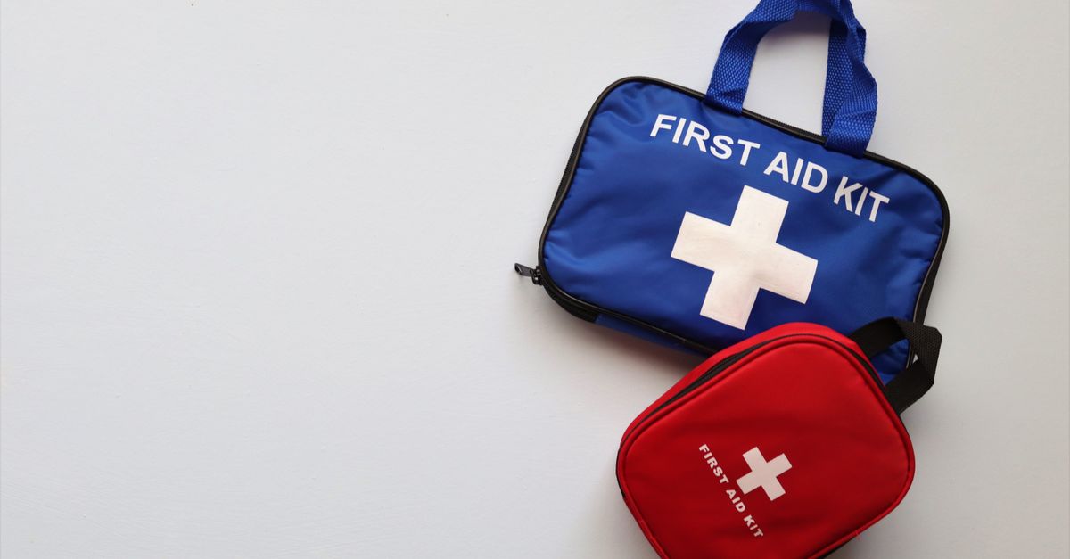 Mastering Pet First Aid Kits
