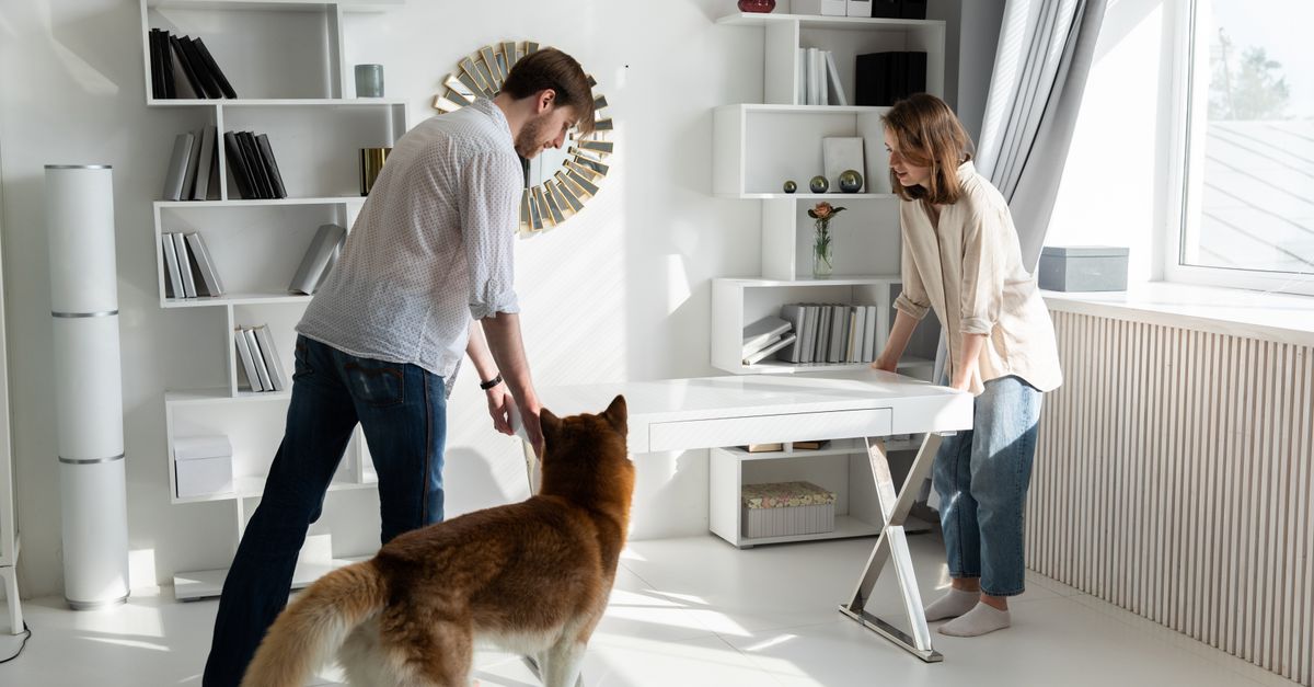 pet-friendly home decor