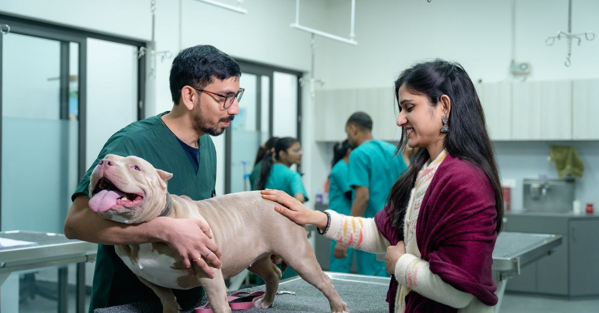 pet health checkup