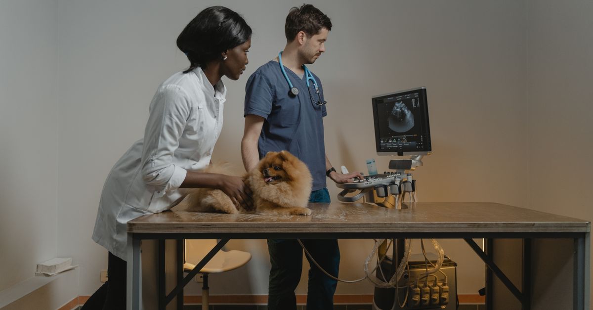 pet health monitoring