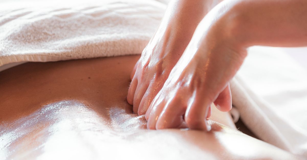 pet massage therapy