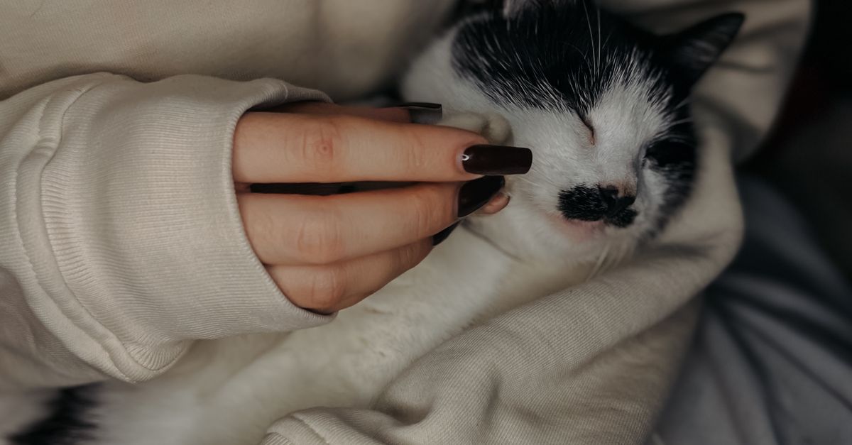 pet nail care