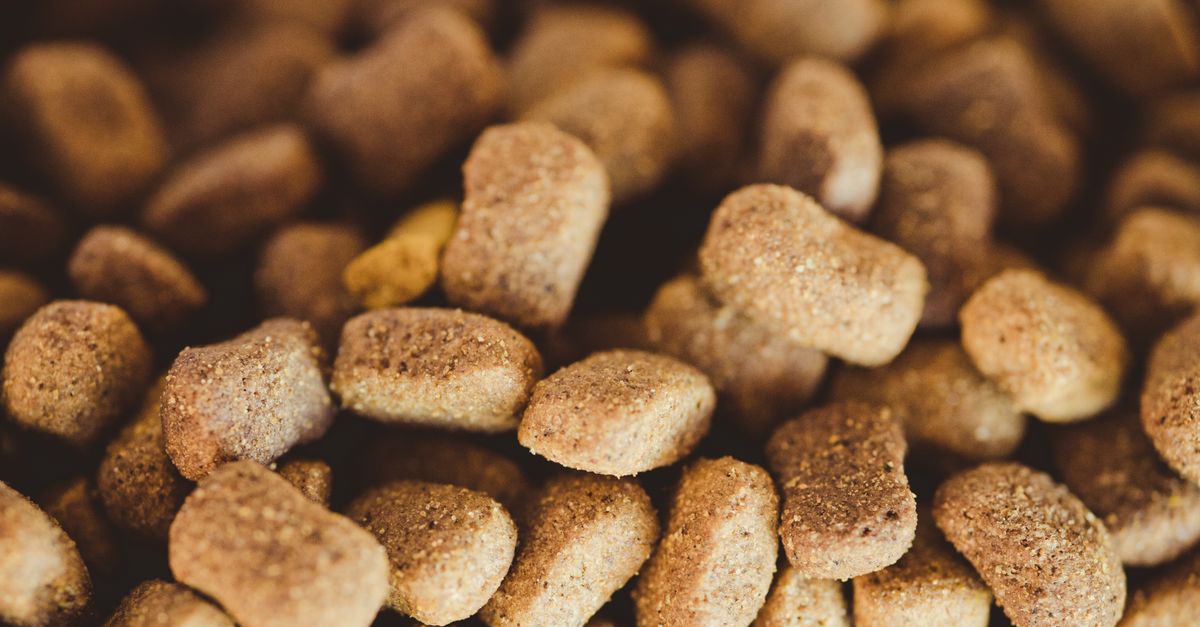 pet nutrition planning