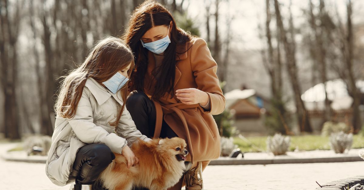 pet safety