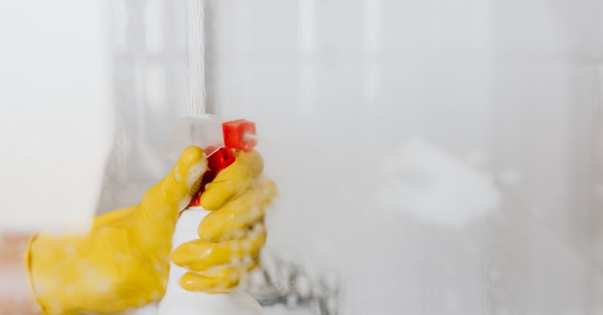 Pet Stain Removal Products